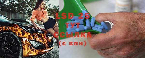 спайс Покачи