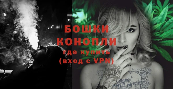 спайс Покачи