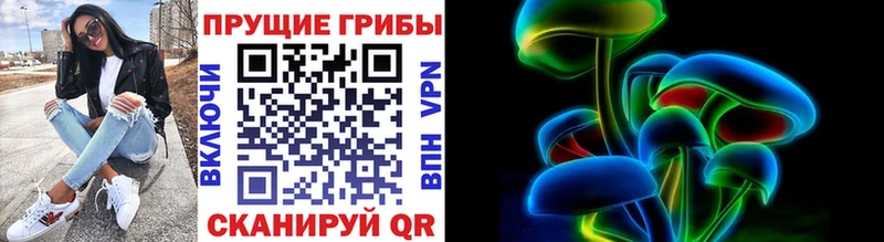 Галлюциногенные грибы Psilocybe  Сердобск 