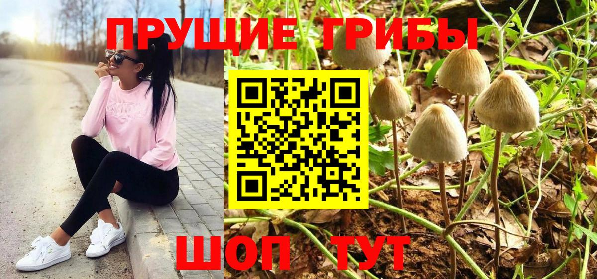 Галлюциногенные грибы прущие грибы  Галлюциногенные грибы мицелий  Сердобск  Вход с VPN 